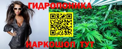 СК Донской
