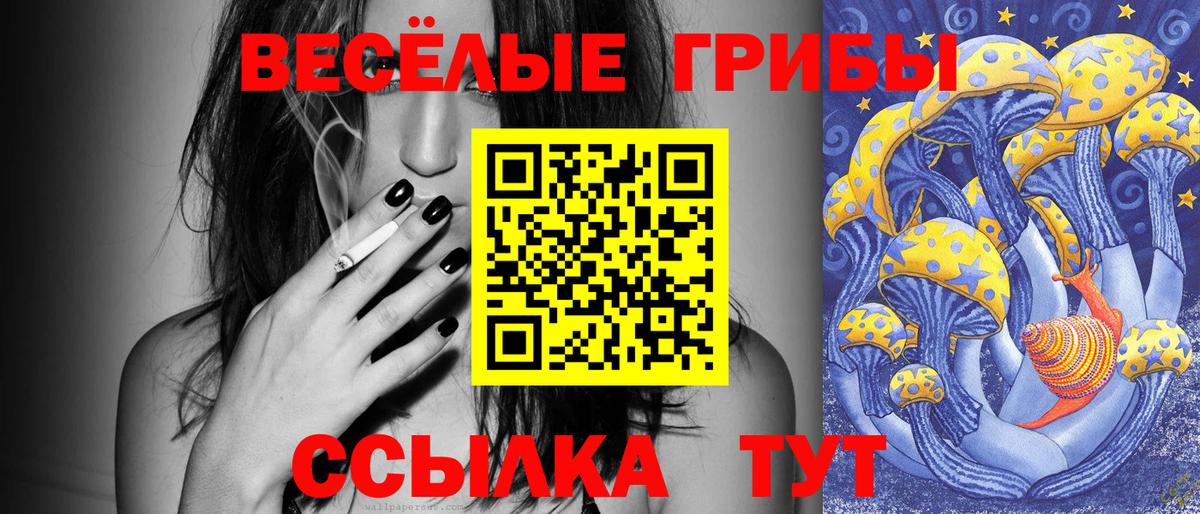 Псилоцибиновые грибы мицелий  Вход с VPN  Зеленодольск  Псилоцибиновые грибы мицелий 