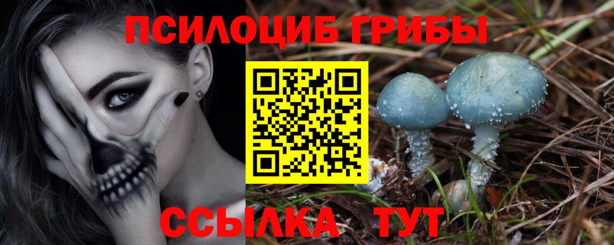 Псилоцибиновые грибы Cubensis Зеленодольск